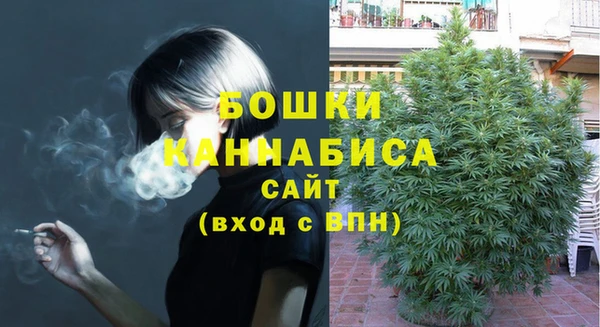 мдпв Вяземский